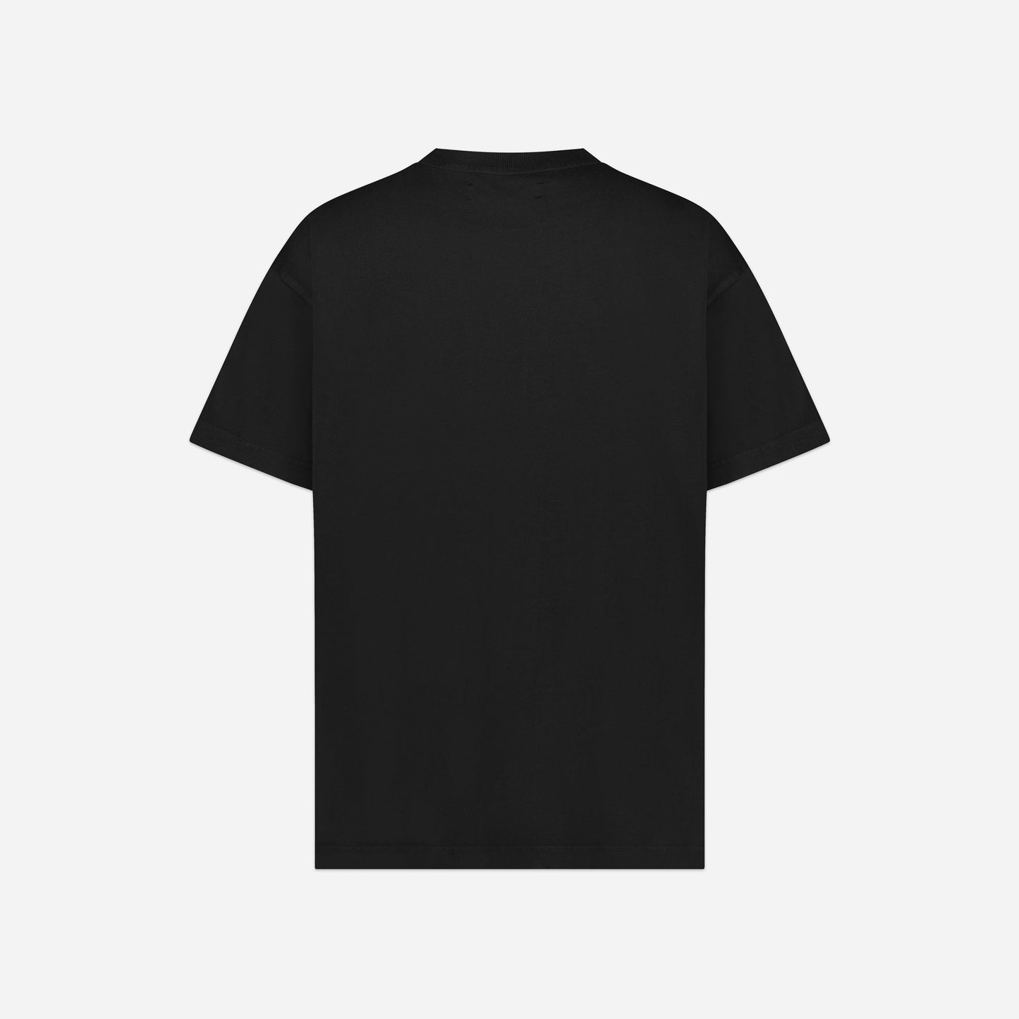Everything Sucks T-Shirt in Perlite Black