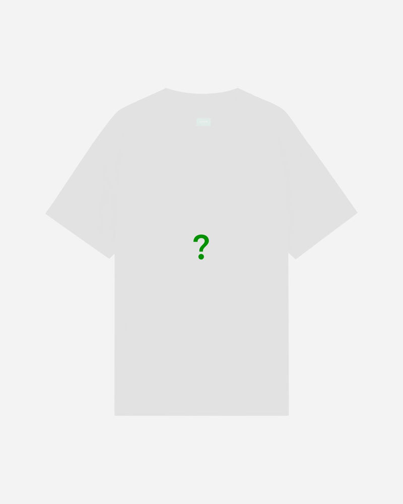 Mystery T-Shirt | Mystery