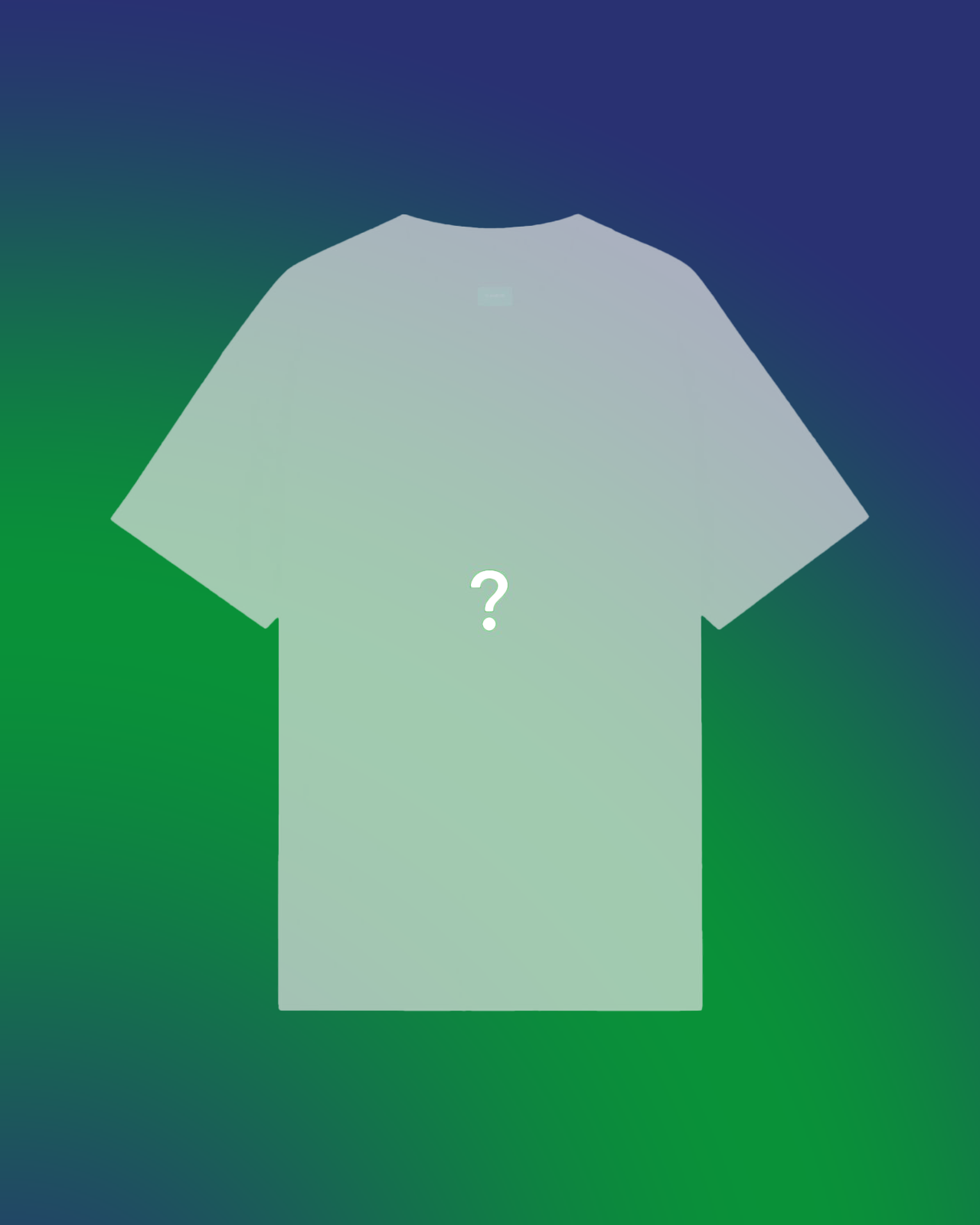 Mystery T-Shirt | Mystery