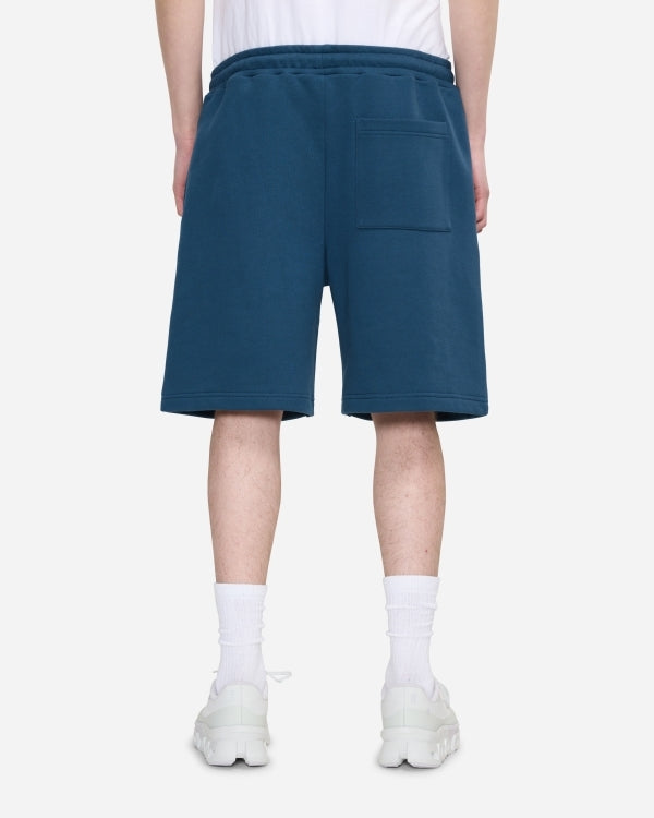 Sounds Good Spray Shorts | Steel Blue