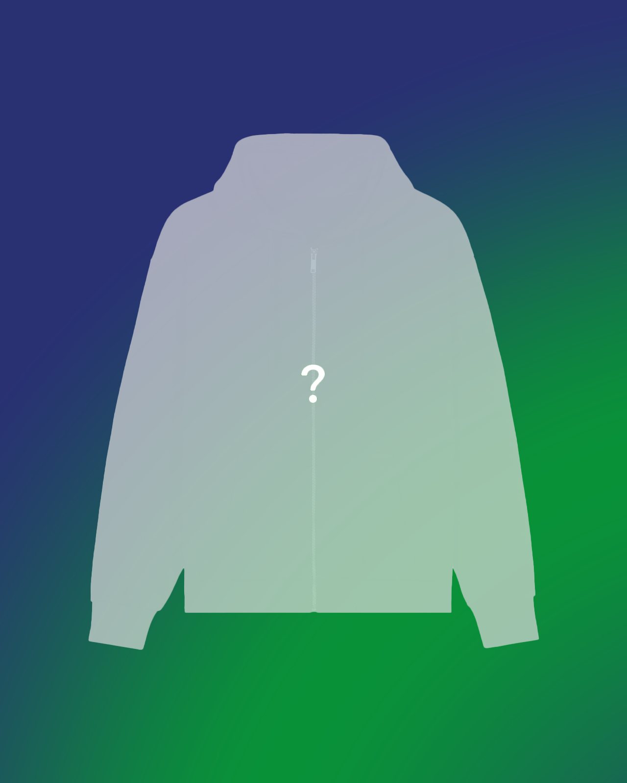 Mystery Hoodie/Zip-Up | Mystery