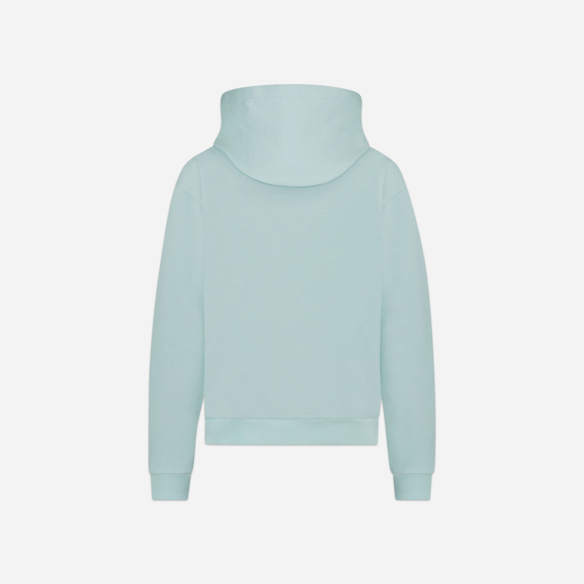 Tortuous Hoodie | Blue