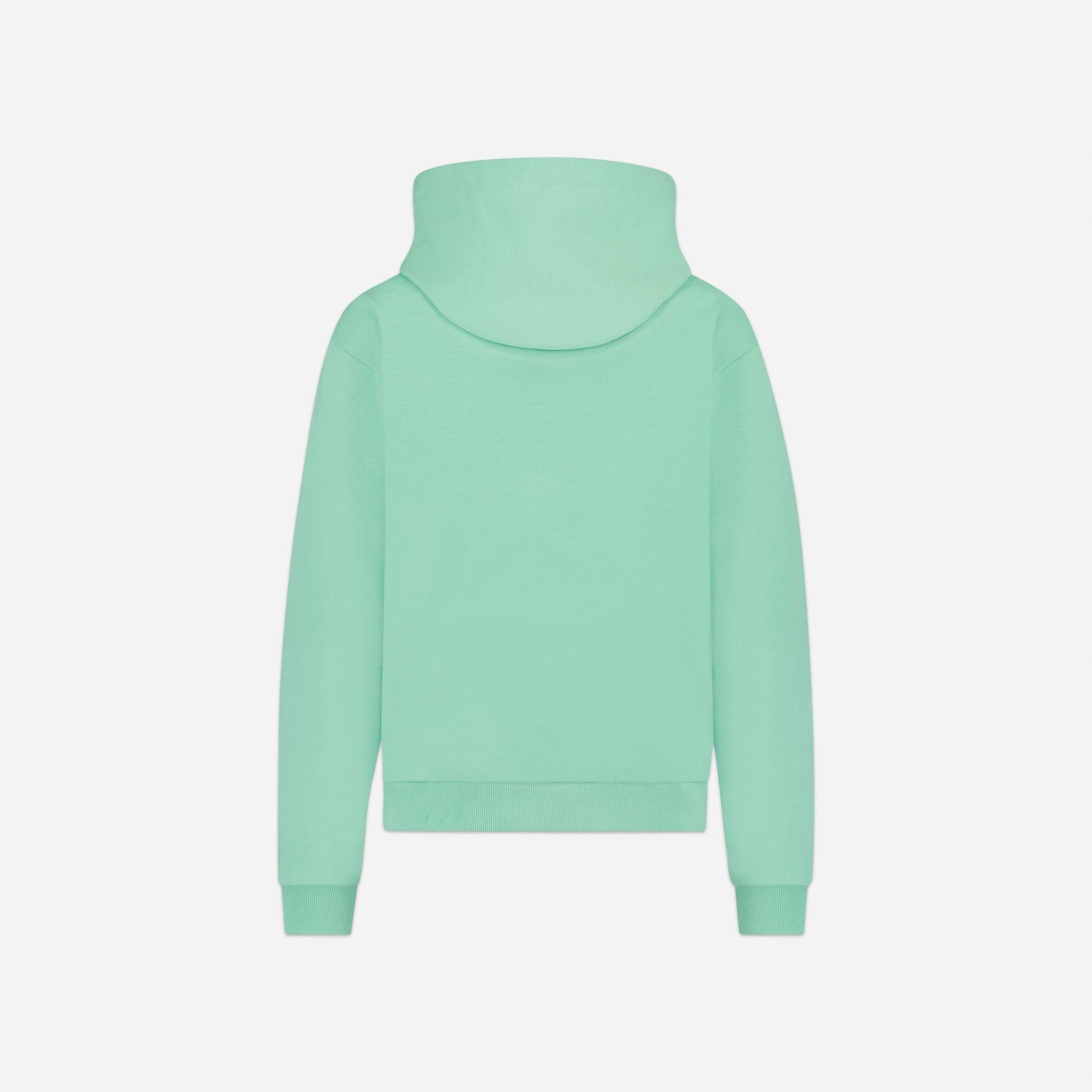 Tortuous Hoodie | Green