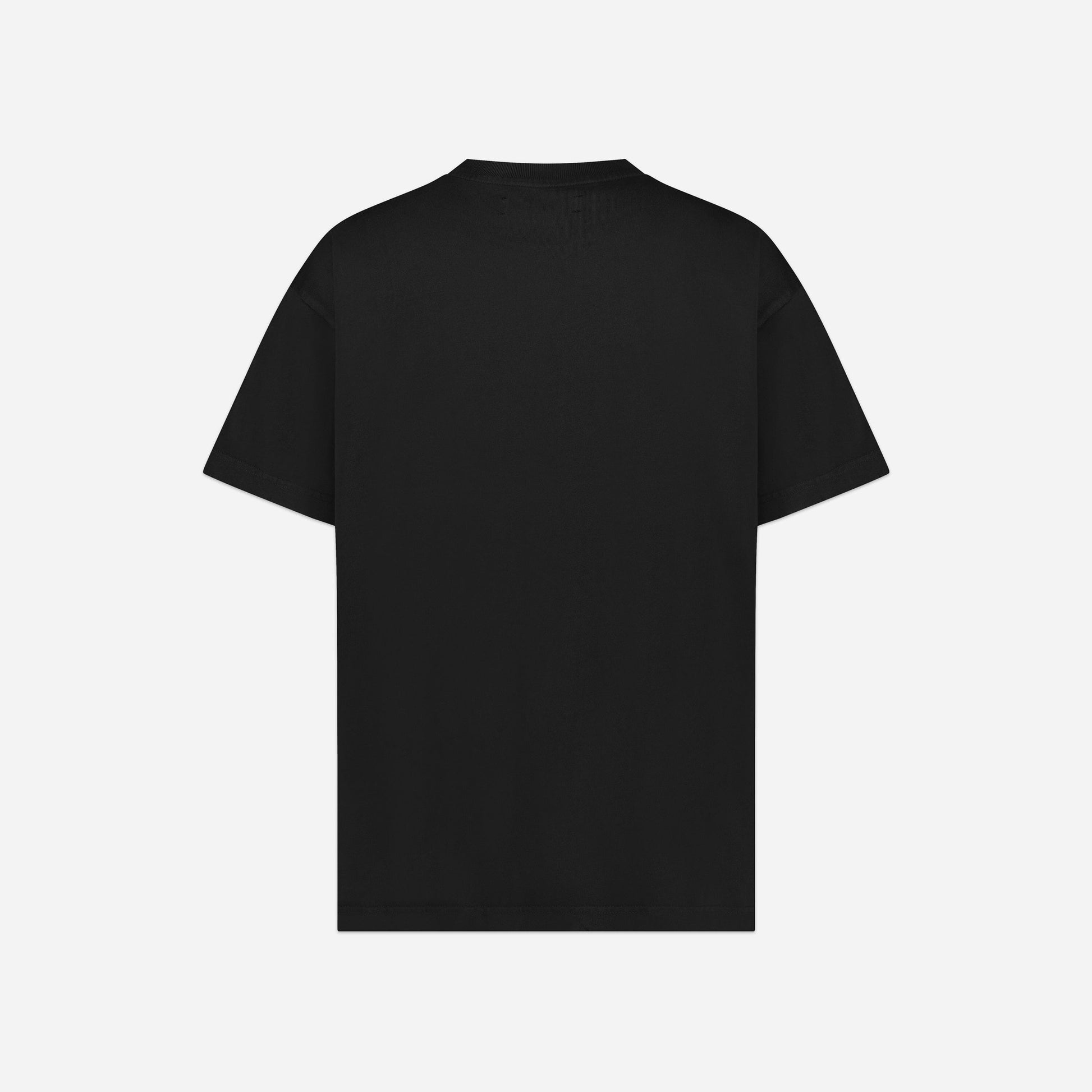 Everything Sucks T-Shirt in Perlite Black